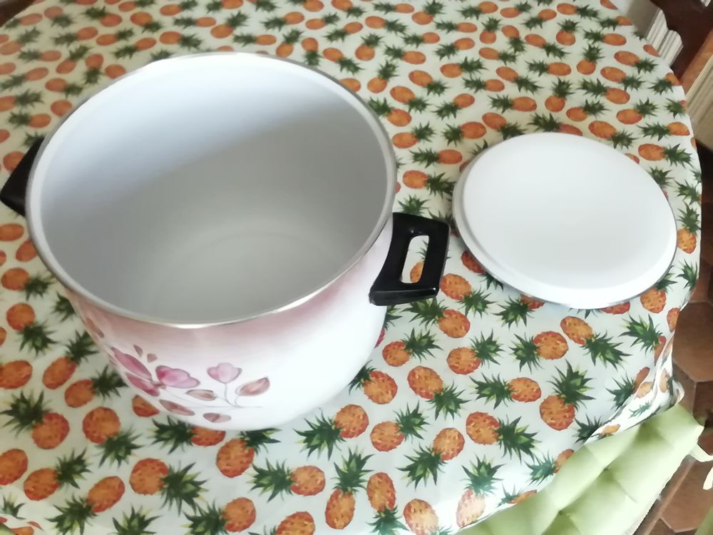 Magnifique faitout d&eacute;cor&eacute; tous feux +induction vintage 70/80 Cuisine