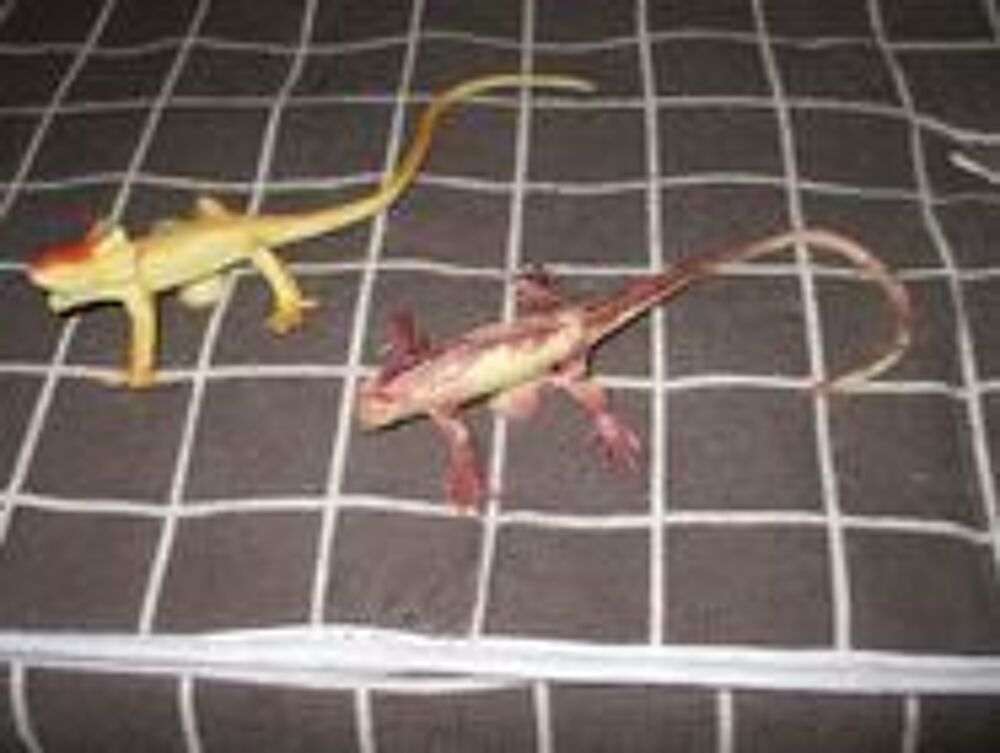 2 lezards qui se positionnent n importe ou 