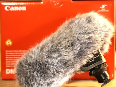 Microphone-Canon 75 Fl�ville-devant-Nancy (54)