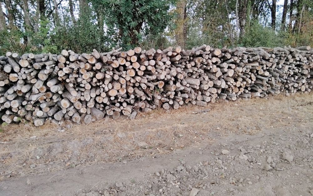 Bois de chauffage Bricolage