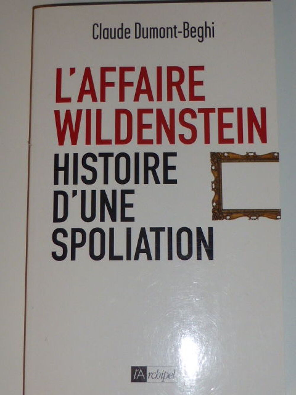 L'affaire Wildenstein Histoire d'une spoliation Dumont-Beghi Livres et BD