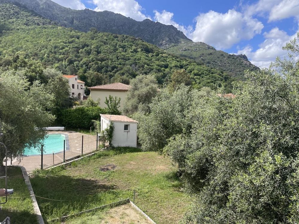 Vente Villa Sublime maison avec piscine et oliviers centenaires Zilia