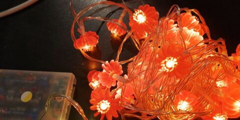 Guirlandes Lumineuses À LED 3 Bron (69)