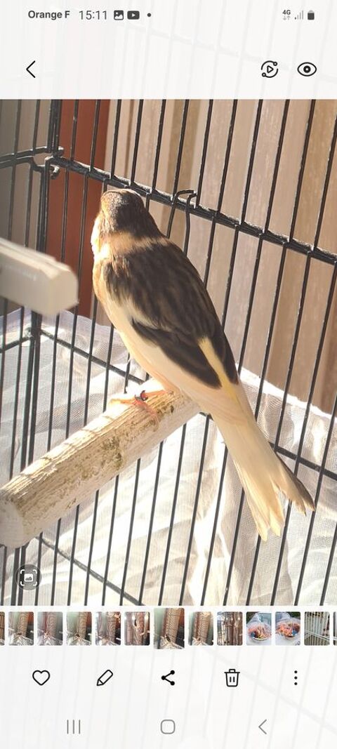 Canaris 25 33860 Marcillac