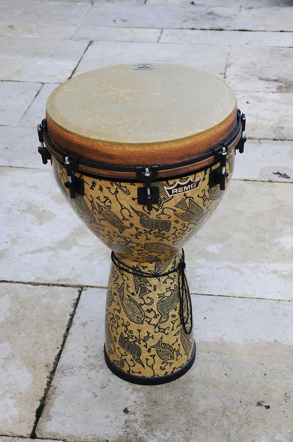 DJEMBE professionnel REMO Instruments de musique