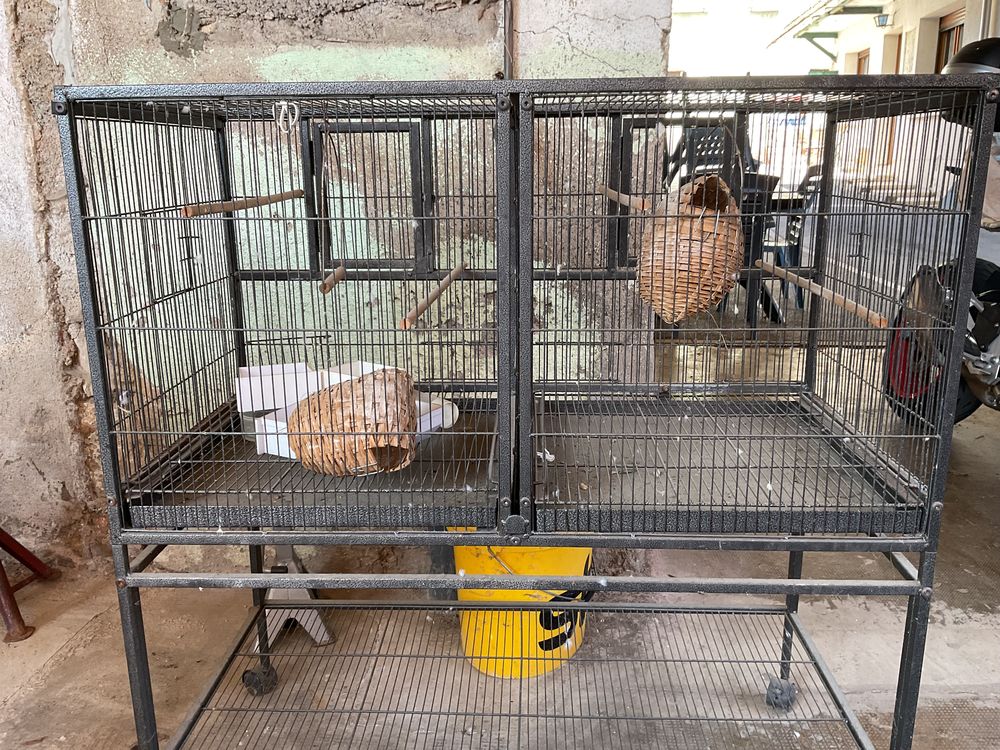   Cage 