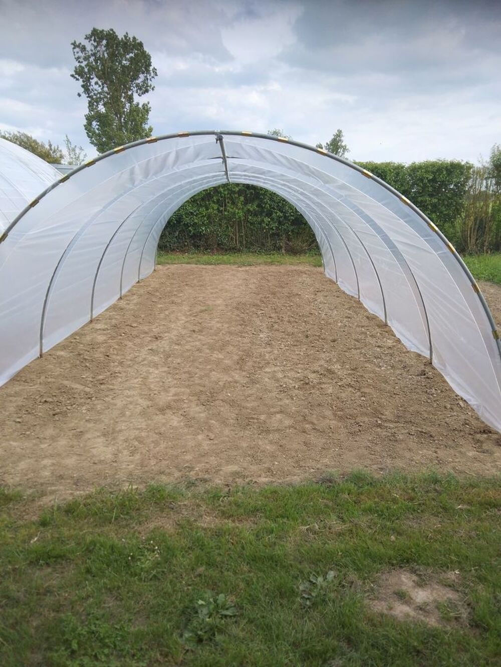 SERRE TUNNEL PRO 50 M2 10M LONG 5M LARGE 2,10M HAUT Jardin