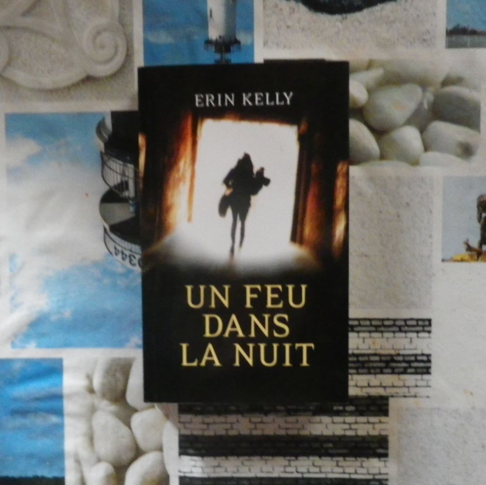 UN FEU DANS LA NUIT de Erin KELLY France Loisirs Livres et BD