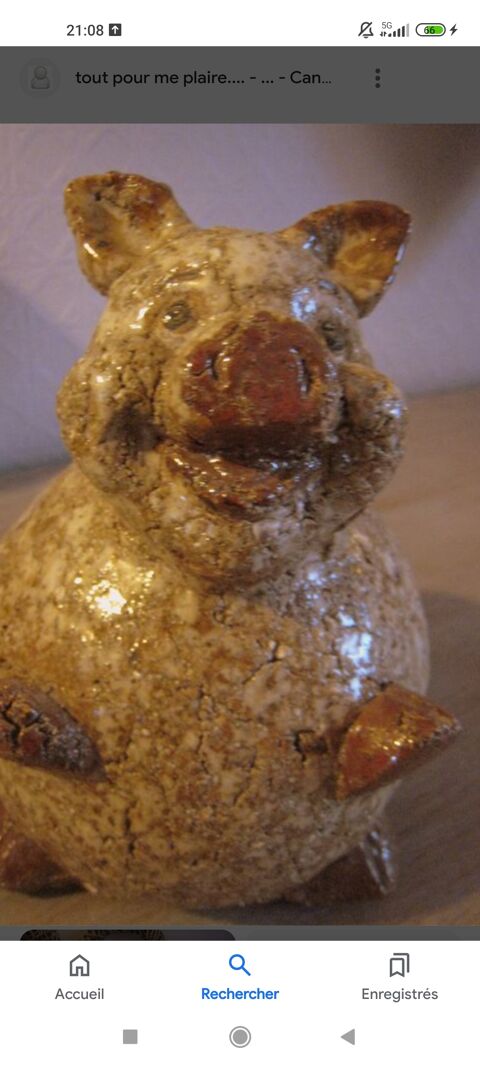 Recherche cochon athezza  35 Razac-sur-l'Isle (24)