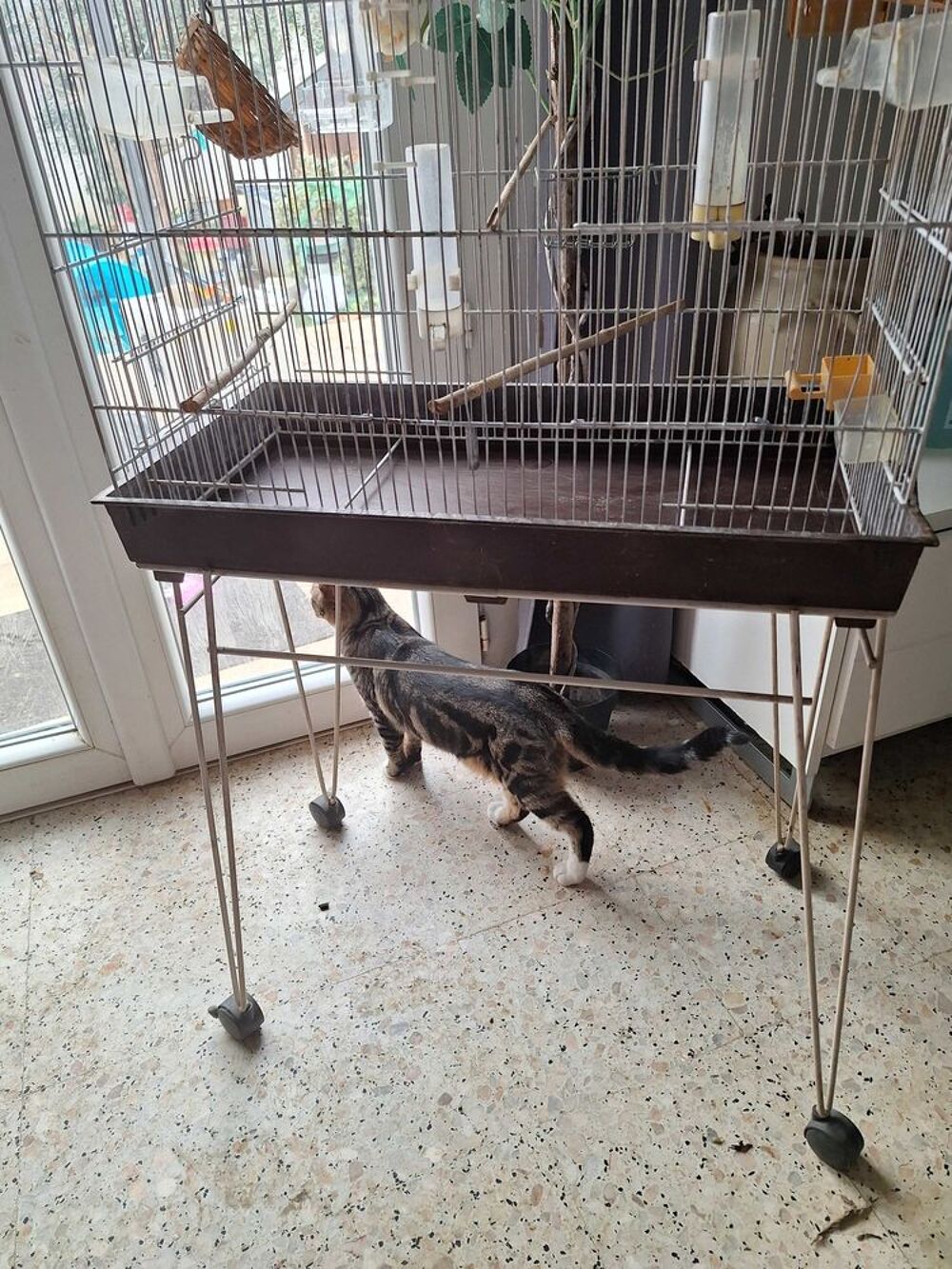 cage oiseaux Meubles