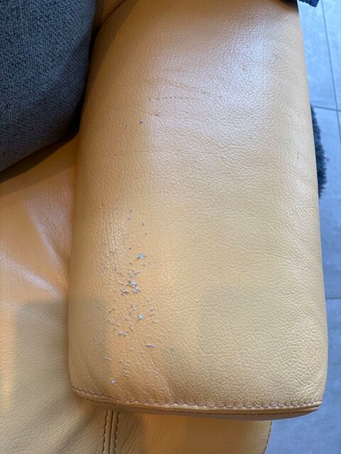 Ensemble canap, fauteuil, bouffe, 4 places, cuir buffle 200 Bey (71)