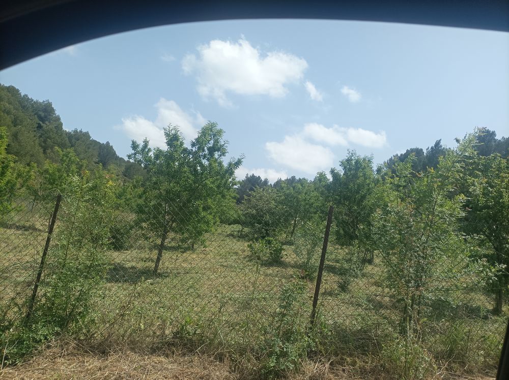 Vente Terrain Poulailler 83m2 + Batiment stockage 83m2 - Forage. 2,6 ha Saint-pargoire