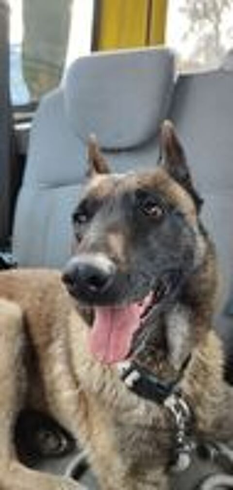   Titoune cherche une vraie famille 