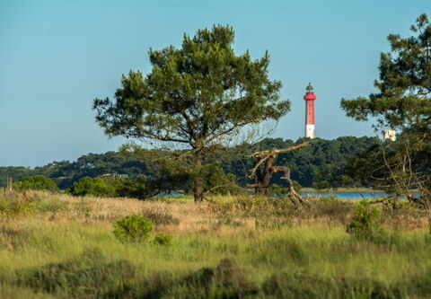 Mobil-Home Mobil-Home 2017 occasion La Palmyre 17570