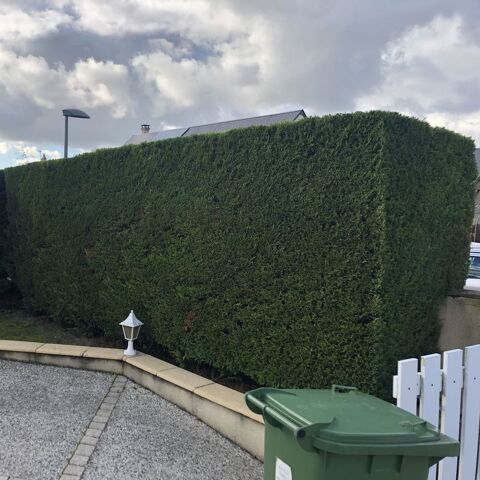 Besoin d'un jardinier sérieux et appliqué ? 0 18100 Vierzon