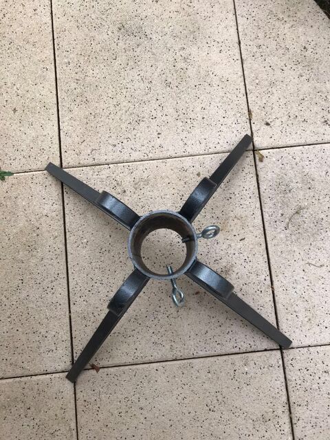 pied de sapin 15 Seichamps (54)