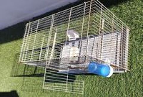   Cages oiseaux  