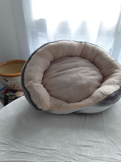 Accessoires chat où chien 8 62119 Dourges