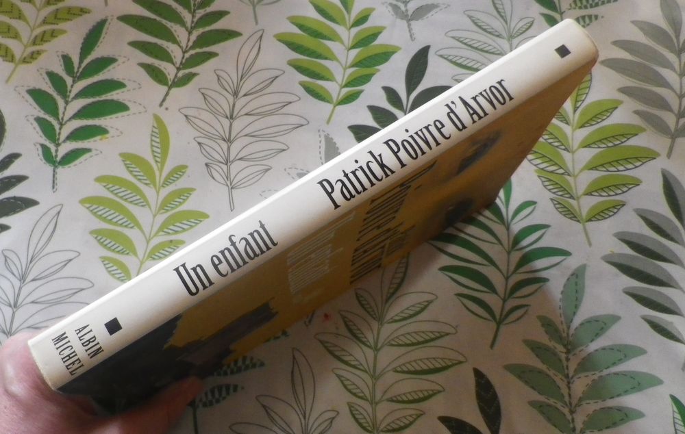 UN ENFANT de Patrick POIVRE D'ARVOR Ed. Albin Michel Livres et BD