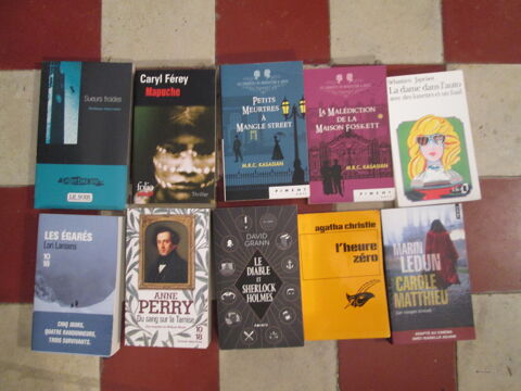 Lot de 16 romans policiers et thrillers 10 Herblay (95)