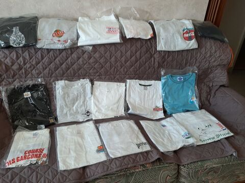 16 tee_shirts A 2 EURO  LE TEE SHORTS 2 Puteaux (92)