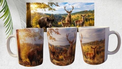 Mug forêt, animaux, cerf, chasse
10 Saint-Loup-sur-Semouse (70)