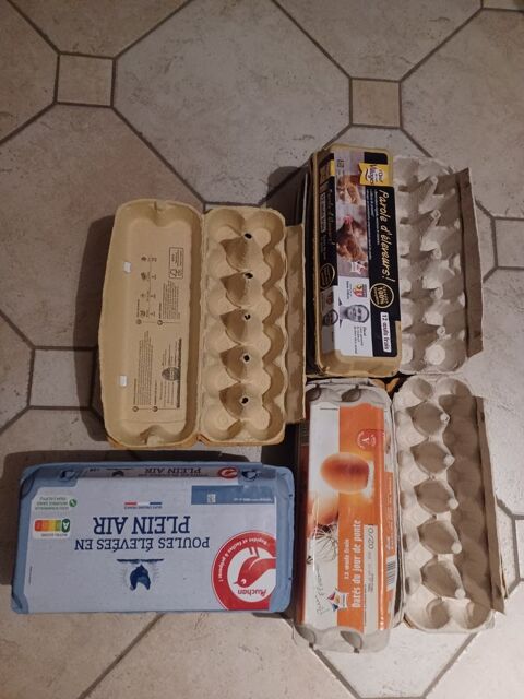 LOT DE BOITES D OEUFS VIDES 2 Paray-le-Monial (71)