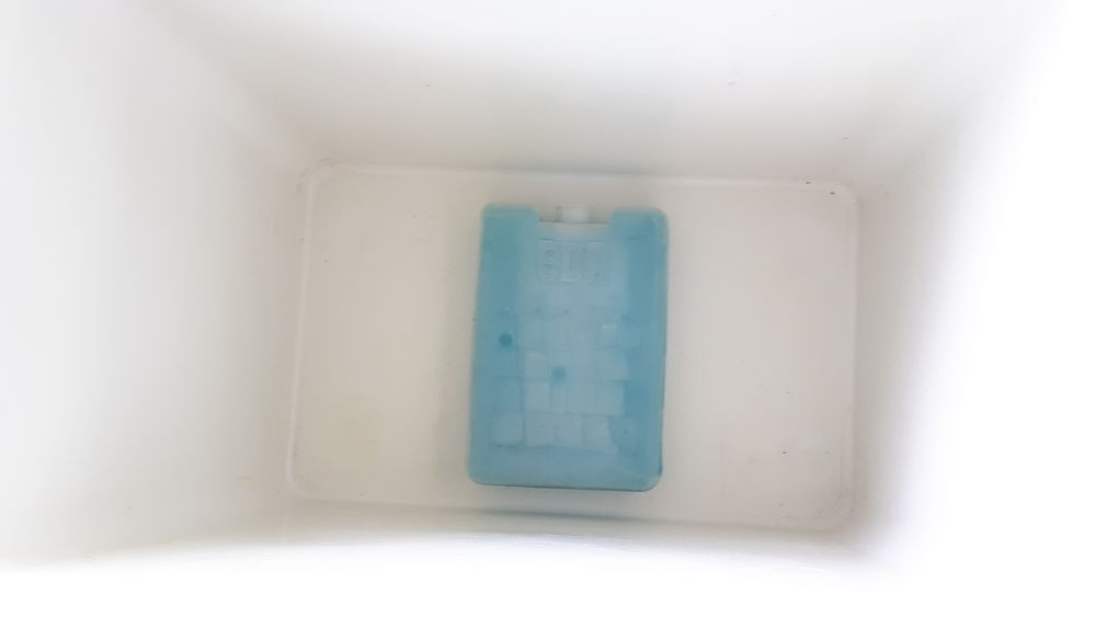 Glaci&egrave;re 24 litres avec 1 pain de glace Jardin