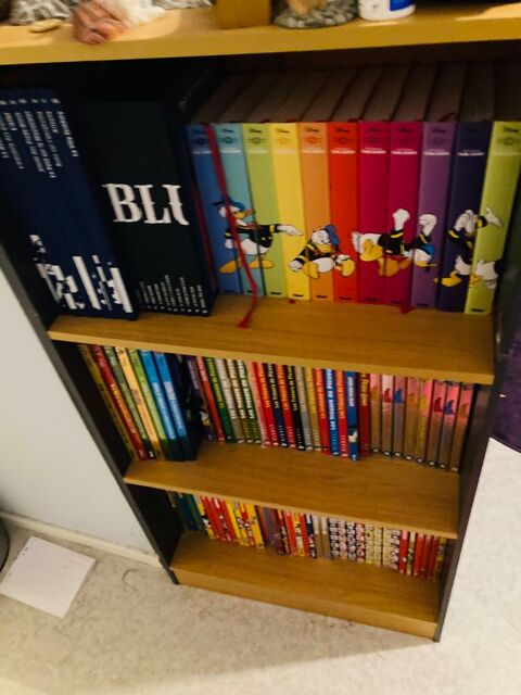 livre picsou 0 Vand�uvre-l�s-Nancy (54)