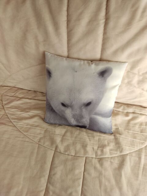 3 coussins ours polaire - �tat neuf 15 Meg�ve (74)