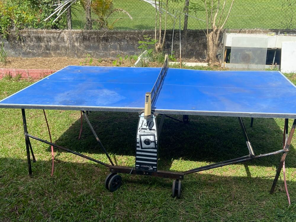 Table de ping pong Jeux / jouets
