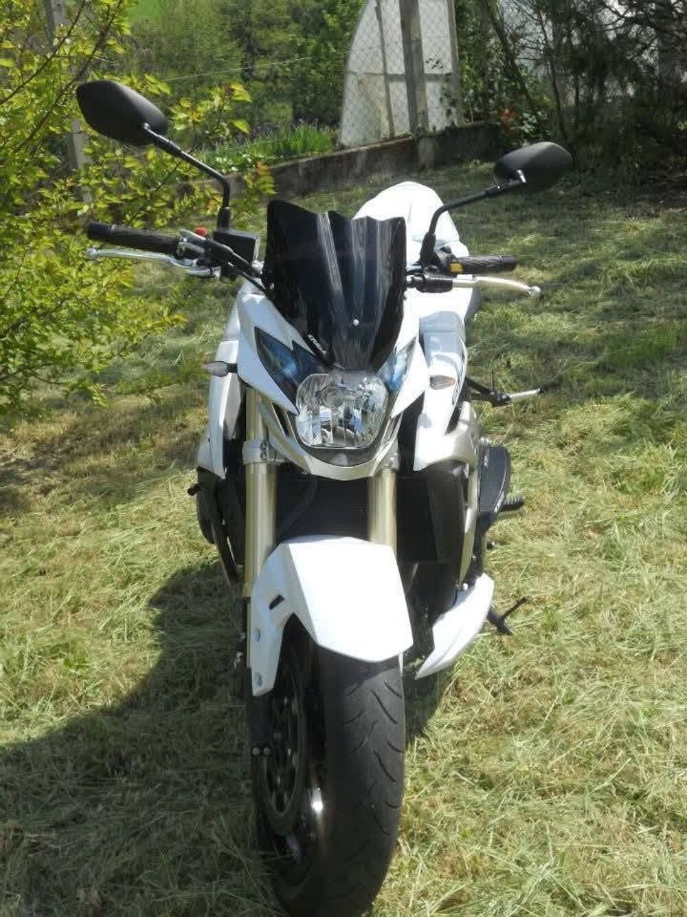 SUZUKI 2011 occasion 86230 Saint-Gervais-les-Trois-Clochers
