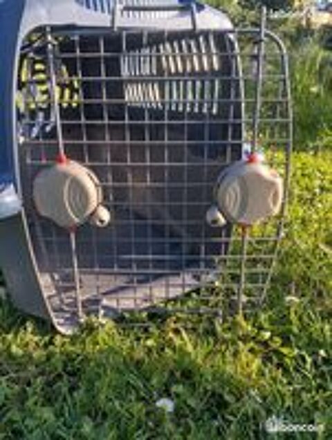   Cage de transport Petcargo 
