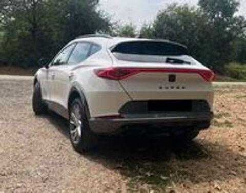 Formentor 1.5 TSI 150 ch Business Edition 2022 occasion 01000 Bourg-en-Bresse