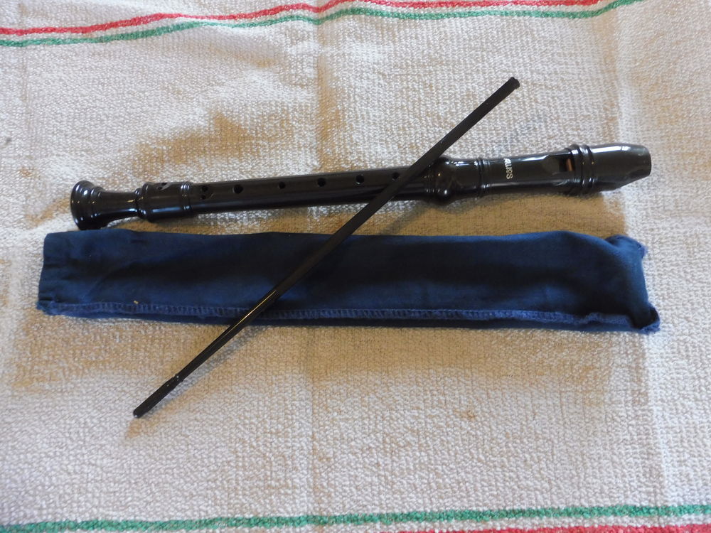 Flute &agrave; Bec marque "Aulos" dans son &eacute;tui + Tige Instruments de musique