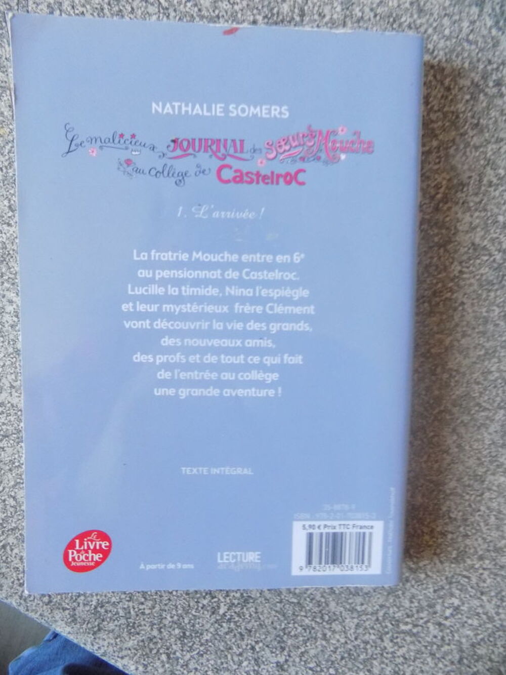 Le malicieux journal des soeurs Mouche au coll&egrave;ge de Livres et BD