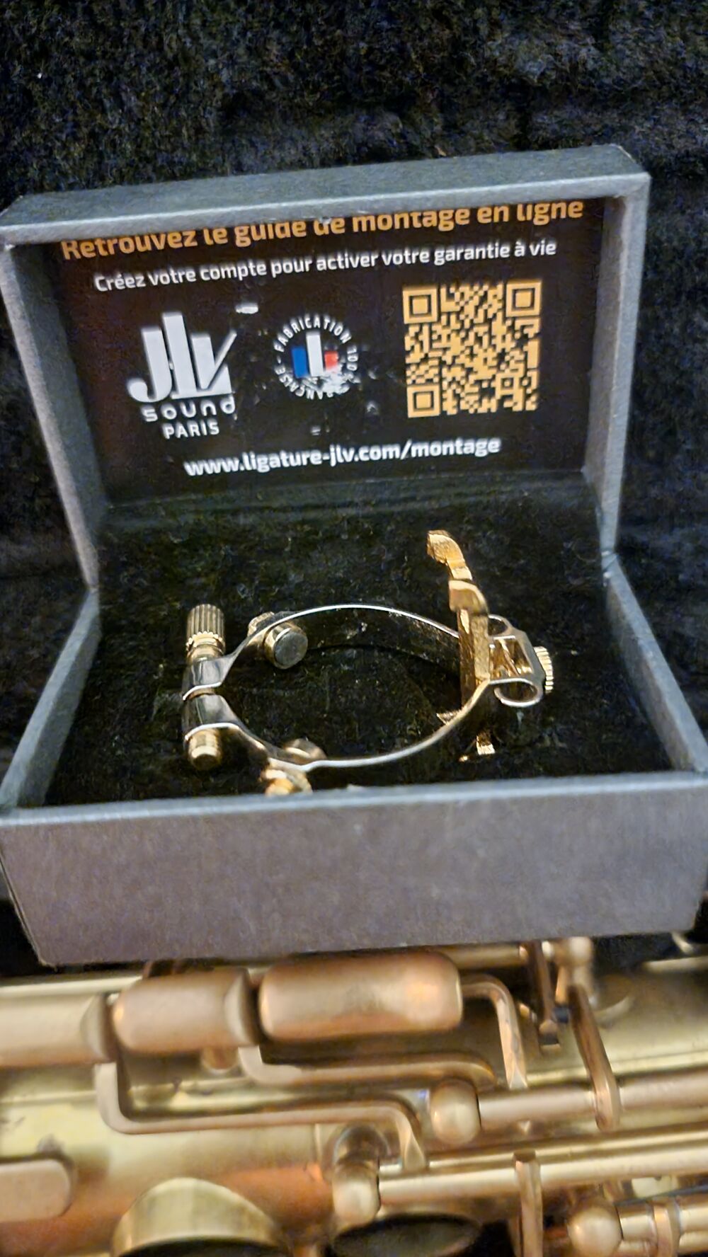 saxophone Alto SELMER Instruments de musique