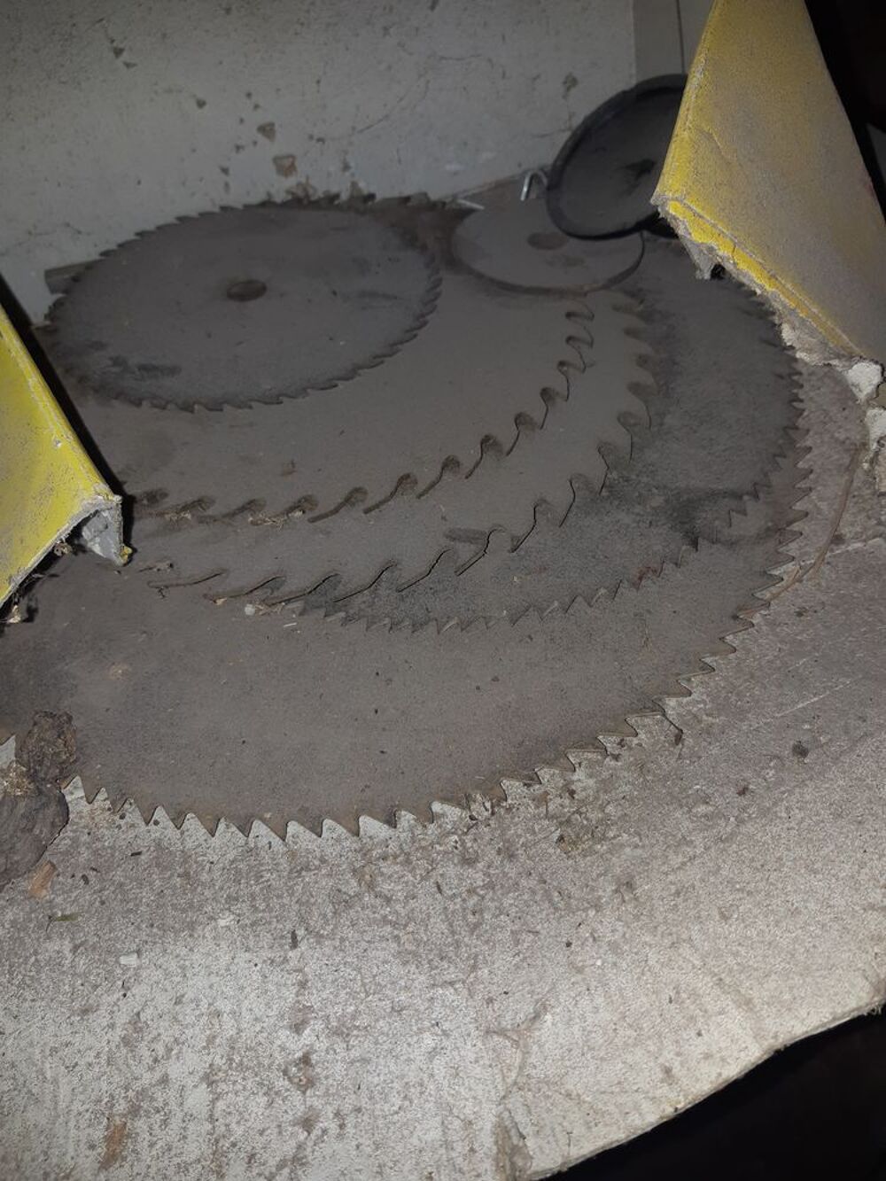 Scie circulaire Bricolage