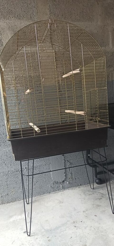 Jolie cage oiseaux 30 29380 Bannalec