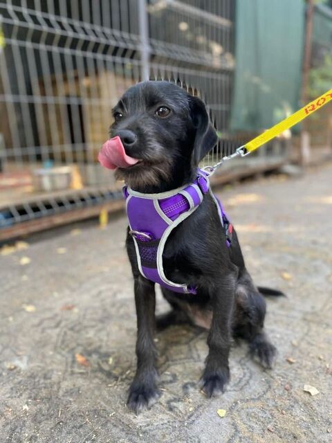 CHERNUYLA 0 75018 Paris