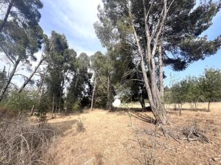  Terrain  vendre 4795 m