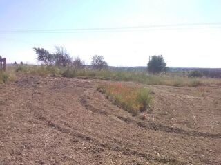  Terrain � louer 300 m�