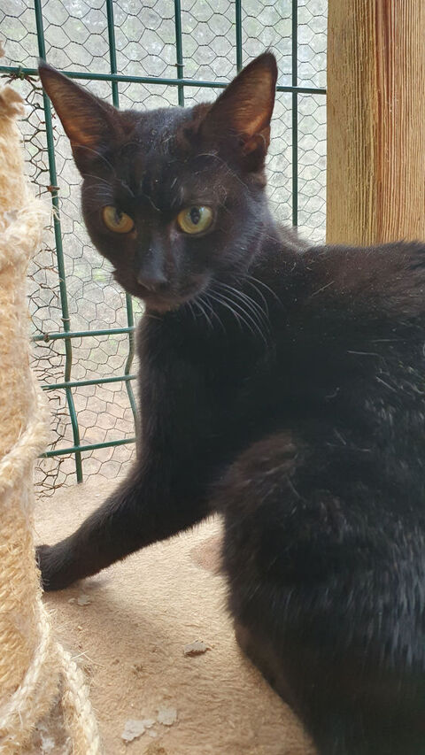 UKI est R&eacute;serv&eacute;e 240 92400 Courbevoie