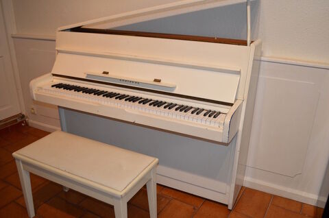Piano Choiseul Joil sonorité 990 Narbonne (11)