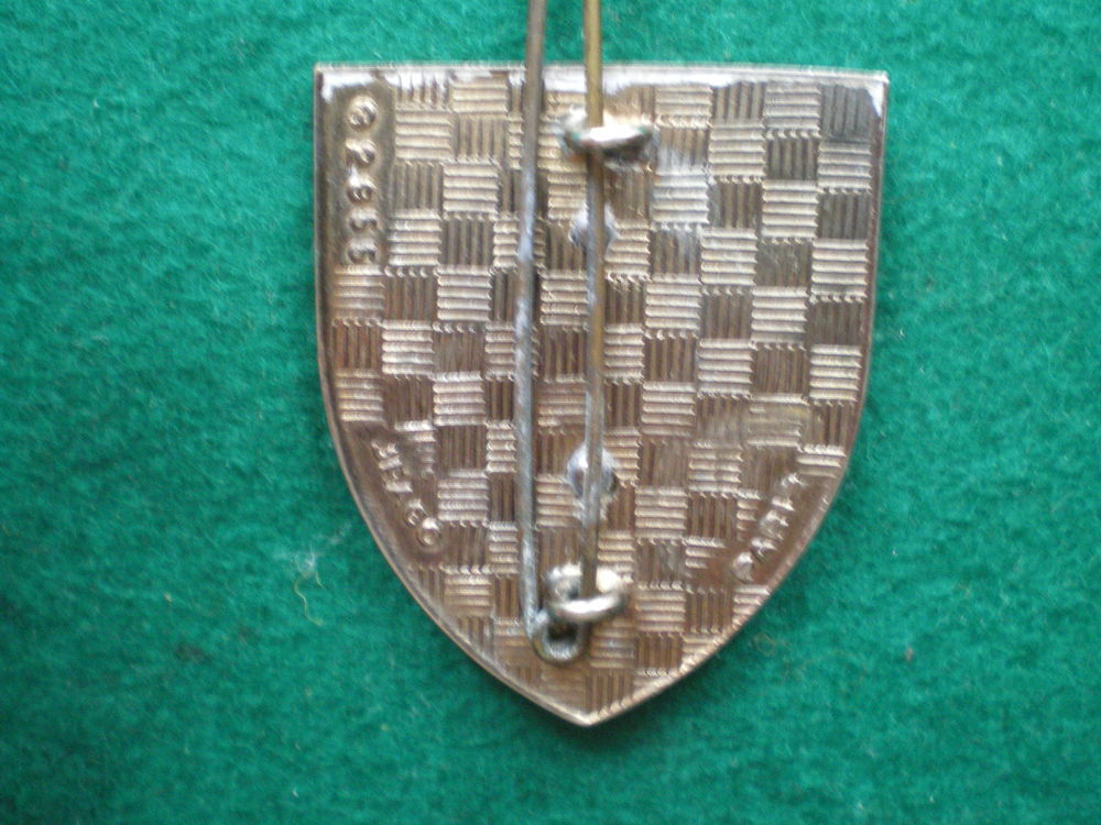 Insigne de Sant&eacute; - Magasin G&eacute;n&eacute;ral - M.G.S.S IV&deg;R.M. 
