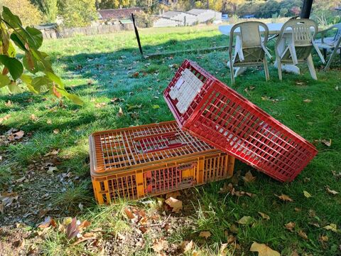 caisses a volaille 70 04150 Revest-des-brousses