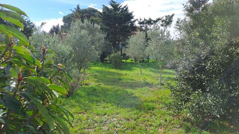   Mas  sud Drôme,3000 m2. Avecses 40 oliviers. Villa - 7 pièce(s) - 150 m²