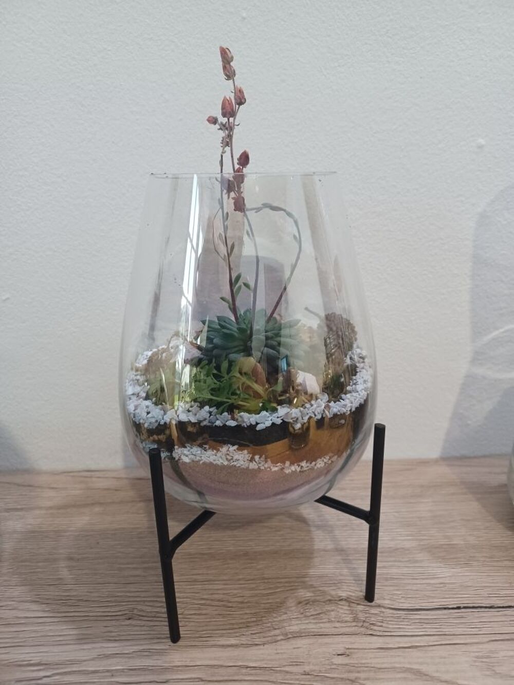 Id&eacute;es cadeaux Terrariums Plantes Décoration