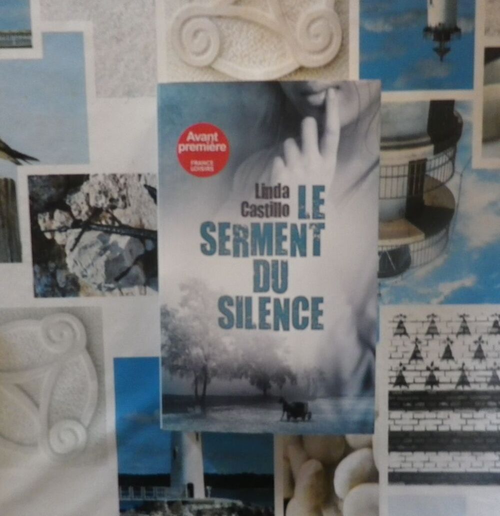 THRILLER LE SERMENT DU SILENCE de Linda CASTILLO Livres et BD