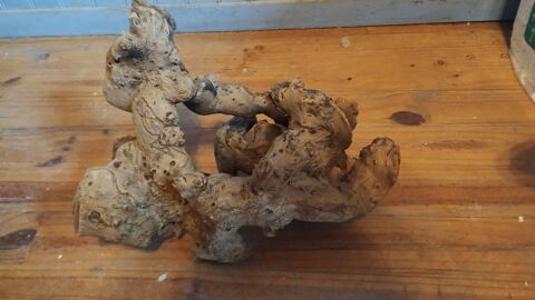 Deux racines de mangrove vendu a l unit&eacute;  50 02700 Fri�res-faillou�l